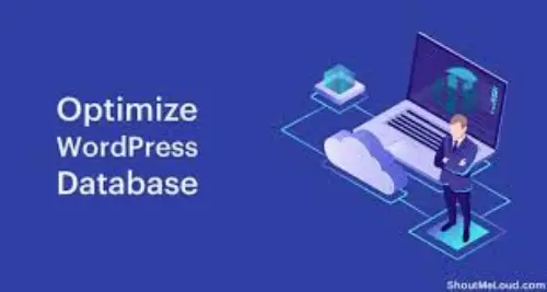 Optimize Your WordPress Database