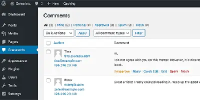comment from in wordpress