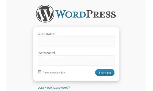 add new user in wordpress