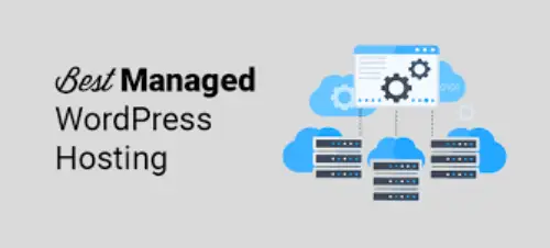 3- Managed WordPress Hosting