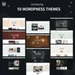 best theme wordpress