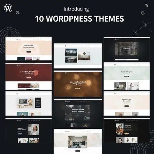 best theme wordpress
